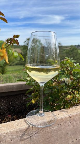 signal 2023 09 03 165439