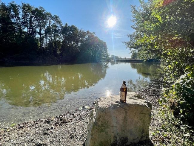 signal 2023 09 27 163622