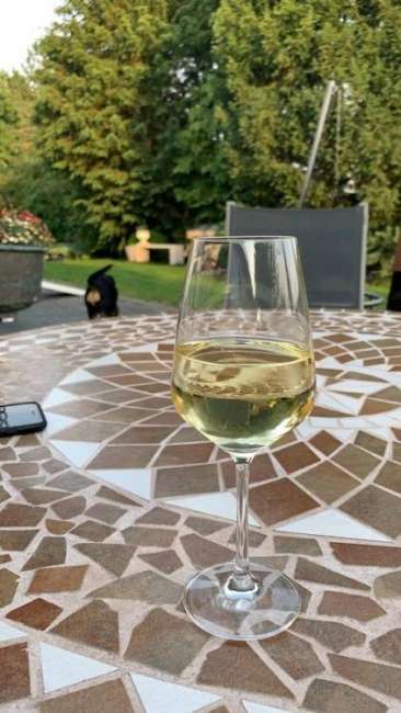 whatsapp image 2019 08 06 at.46.58