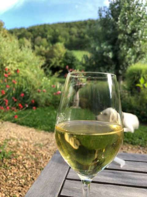 whatsapp image 2019 08 16 at.34.15