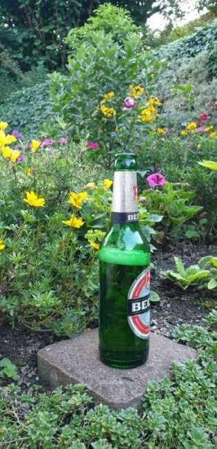 whatsapp image 2019 08 16 at.24.42