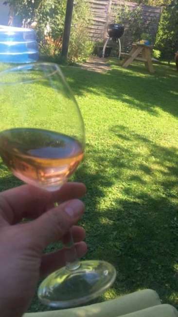 whatsapp image 2019 08 18 at.48.12