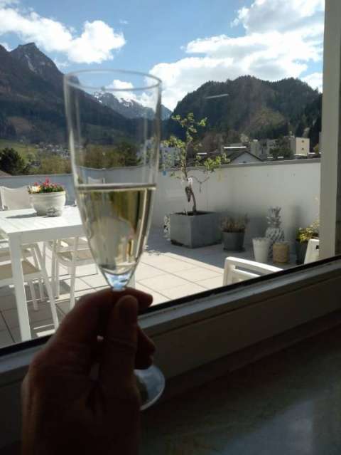 whatsapp image 2020 04 12 at.44.12