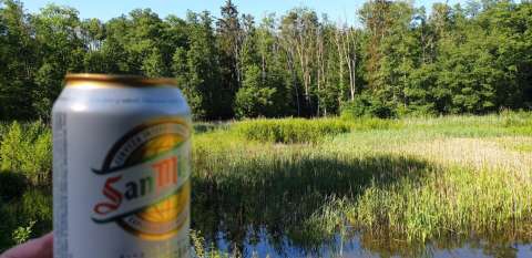 whatsapp image 2020 06 12 at.48.46