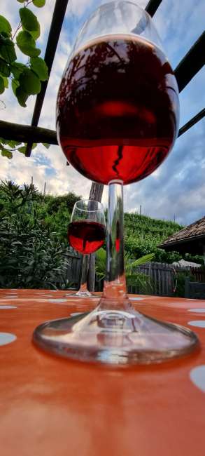 signal 2022 05 26 13 00 07