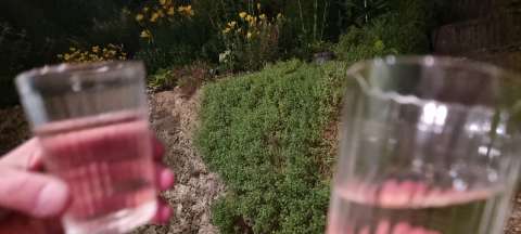 signal 2022 06 10 23 33 53