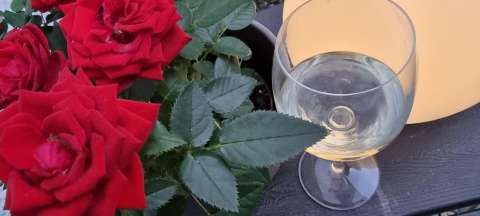 signal 2022 08 12 20 48 11