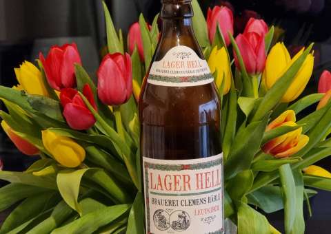 signal 2023 03 18 19 15 56