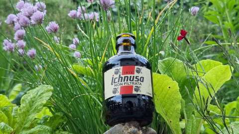 signal 2023 06 01 20 030 891