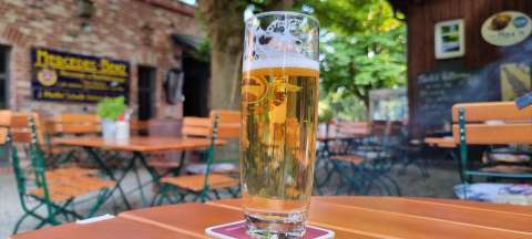 signal 2023 07 06 19 34 28