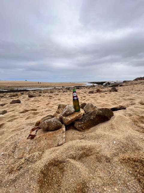 signal 2023 08 08 184119