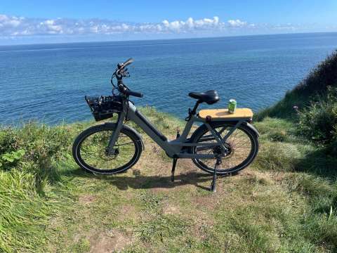 signal 2023 08 15 115714