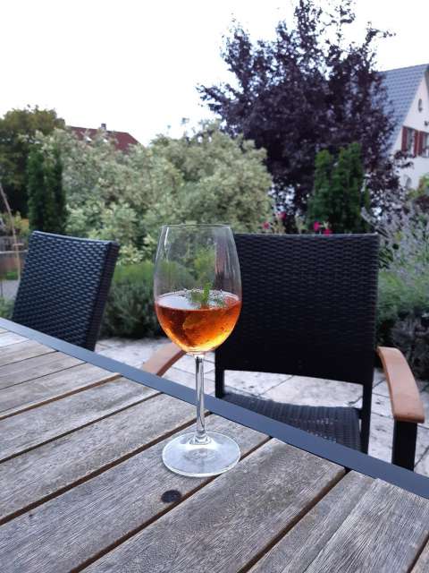 signal 2023 08 16 201723