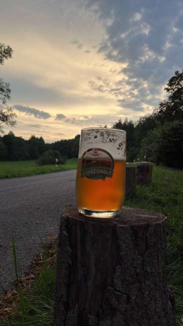 signal 2023 08 17 201755