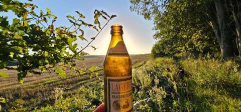 signal 2023 08 18 195024