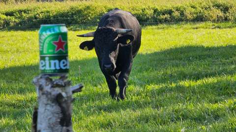 signal 2023 10 01 165045