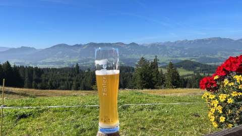 signal 2023 10 02 124605