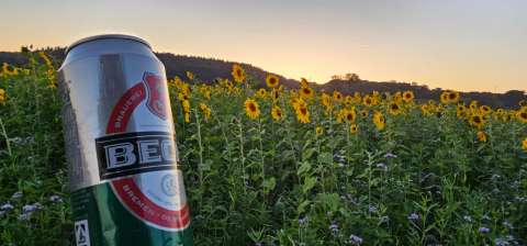 signal 2023 10 13 183921